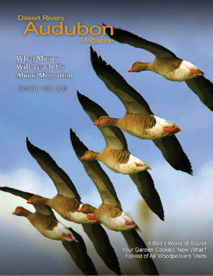 Desert Rivers Audubon Magazine