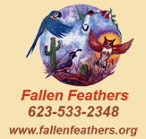 Fallen Feathers